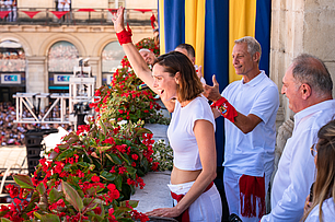 Irudia handitu (modu-leihoa)