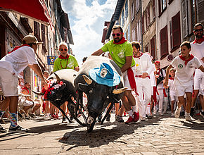 Irudia handitu (modu-leihoa)