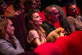 Irudia handitu (modu-leihoa)