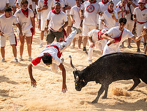 Irudia handitu (modu-leihoa)