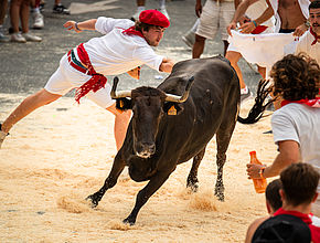 Irudia handitu (modu-leihoa)