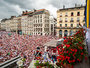 Irudia handitu (modu-leihoa)