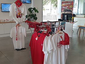 Irudia handitu (modu-leihoa)