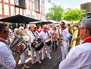 Irudia handitu (modu-leihoa)