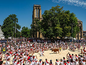 Irudia handitu (modu-leihoa)