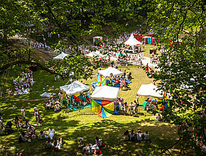 Irudia handitu (modu-leihoa)