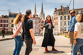 Irudia handitu (modu-leihoa)