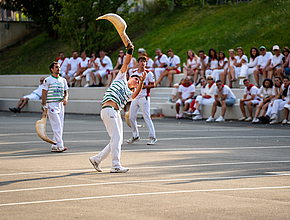 Irudia handitu (modu-leihoa)