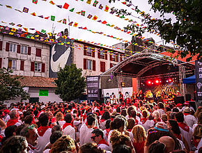 Irudia handitu (modu-leihoa)