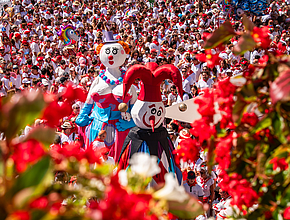 Irudia handitu (modu-leihoa)