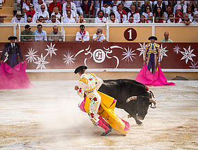 Irudia handitu (modu-leihoa)