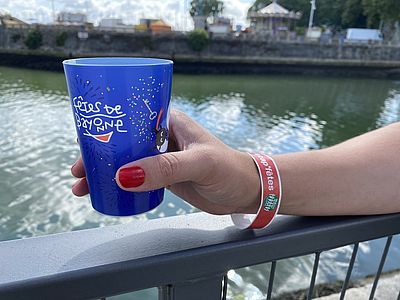 Irudia handitu (modu-leihoa)