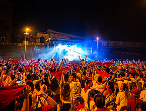 Irudia handitu (modu-leihoa)