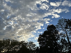 Irudia handitu (modu-leihoa)