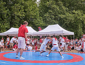 Irudia handitu (modu-leihoa)