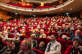 Irudia handitu (modu-leihoa)