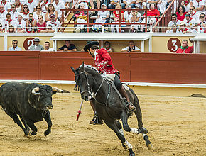 Irudia handitu (modu-leihoa)