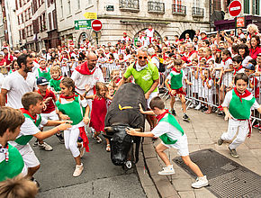 Irudia handitu (modu-leihoa)