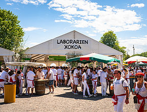 Irudia handitu (modu-leihoa)