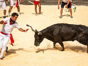 Irudia handitu (modu-leihoa)