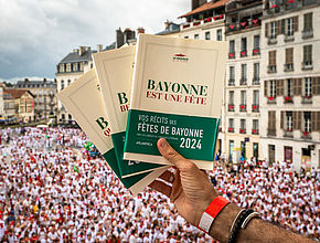 Irudia handitu (modu-leihoa)