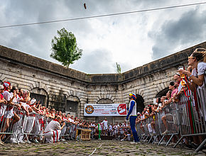 Irudia handitu (modu-leihoa)