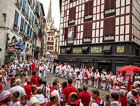 Irudia handitu (modu-leihoa)