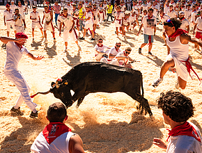 Irudia handitu (modu-leihoa)