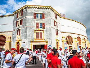 Irudia handitu (modu-leihoa)